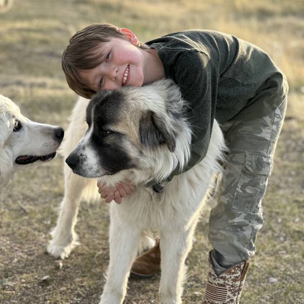 Family-friendly ranch_dog