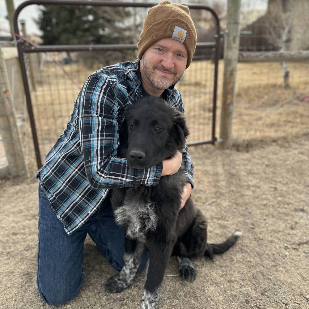 Family-friendly ranch dogs