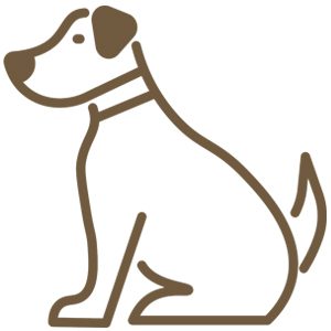 Cheyenne Wyoming Colorado Mountain Dogs