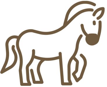 Cheyenne Wyoming Full-Care Horse Boarding