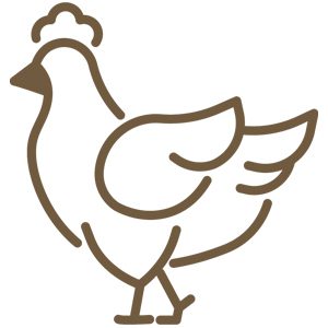 Cheyenne Wyoming chickens