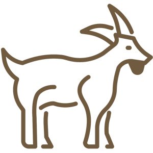 Cheyenne Wyoming goats